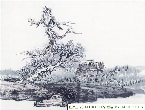 父母上海游玩哪些（带父母去上海哪些地方玩）