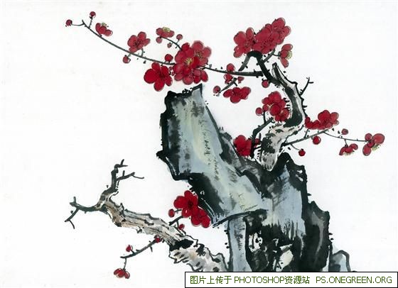 4上海哪里丰胸好（上海哪个医院丰胸做得好）