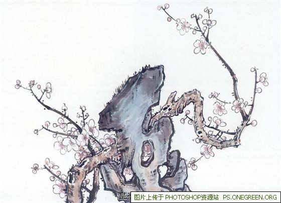 汇丰药店上海在哪里（汇丰大药房在哪里）