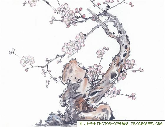 白鹿的上海朋友有哪些（白鹿最好的朋友有哪些）