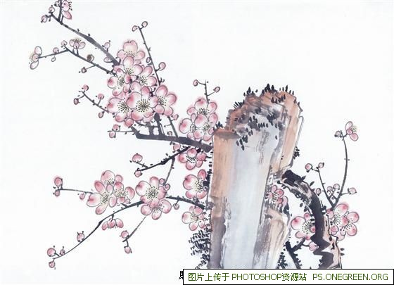 美庐上海餐厅有哪些（美庐餐厅官网）