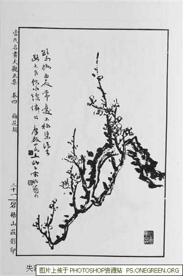 费翔居住上海哪个小区（费翔母亲住在上海哪个区）