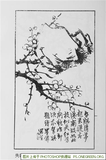 阜阳哪些地区可以去上海（阜阳去上海要多少钱）