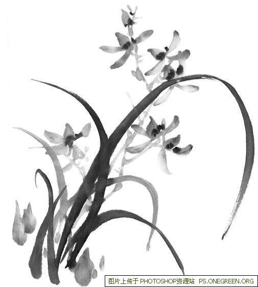 tyf是上海哪个高中（jty是上海哪个高中简称）