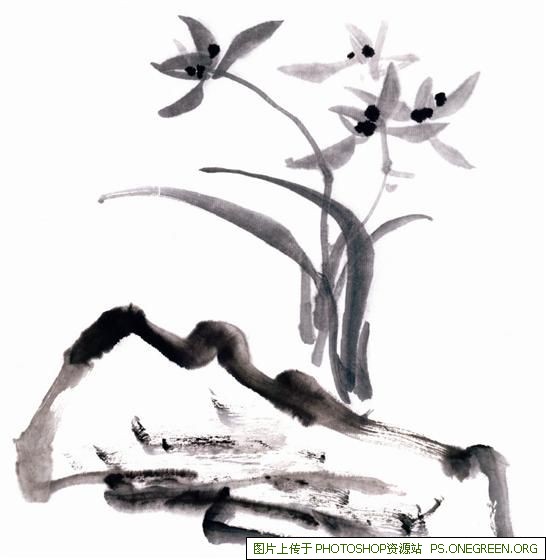 胡歌是上海哪个派（胡歌上海哪个区人）