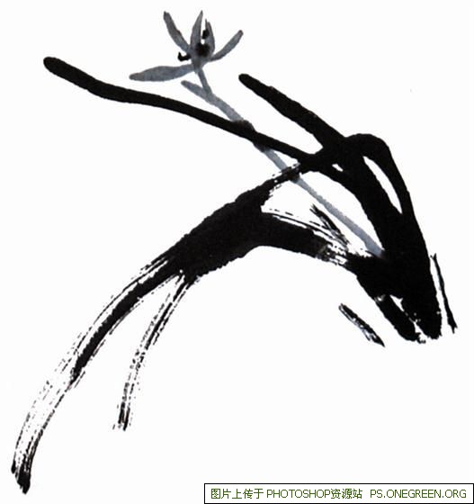 高端留学机构上海有哪些（上海排名前十的留学机构有哪些）